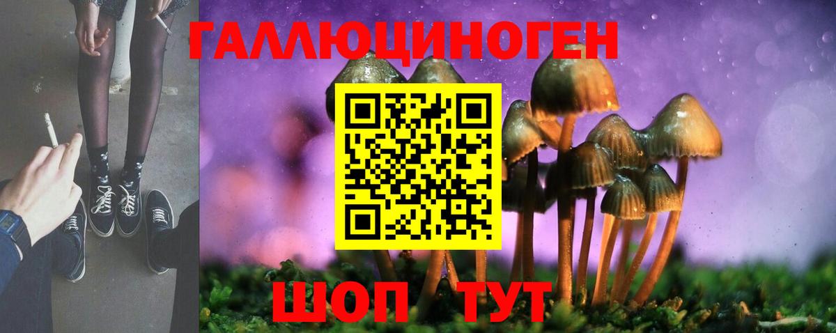 Галлюциногенные грибы Magic Shrooms  Вход с VPN  Галлюциногенные грибы прущие грибы  Волгодонск 